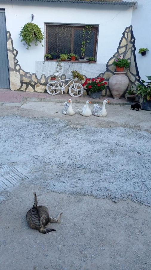 Вилла Cueva De La Abuela Лос-Каррионес Экстерьер фото
